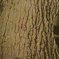 Kerbenok : Auf Wilden Pfaden